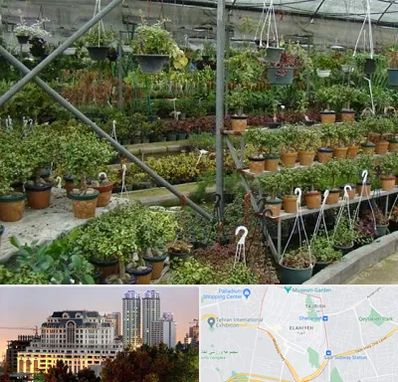 بازار گل و گیاه در فرشته