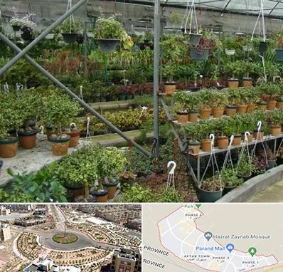 بازار گل و گیاه در پرند