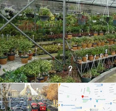 بازار گل و گیاه در خیابان آزادی