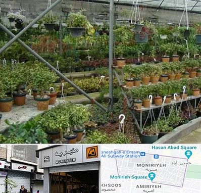 بازار گل و گیاه در منیریه