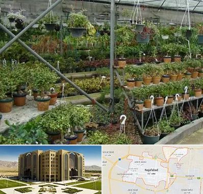 بازار گل و گیاه در نجف آباد