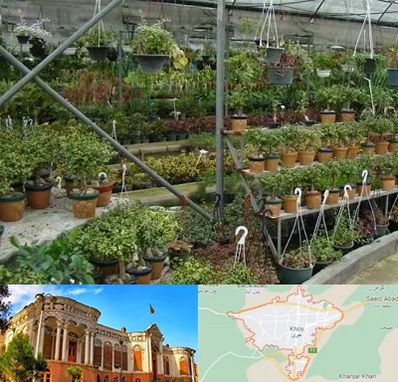 بازار گل و گیاه در خوی