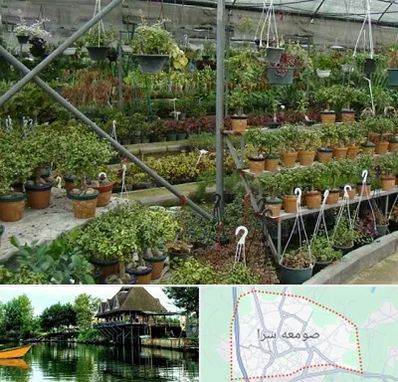 بازار گل و گیاه در صومعه سرا