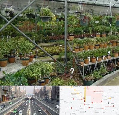 بازار گل و گیاه در توحید