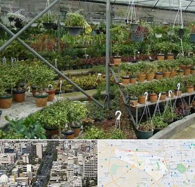 بازار گل و گیاه در منطقه 18 تهران