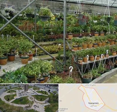 بازار گل و گیاه در ورامین