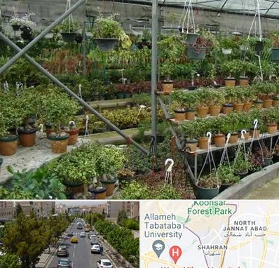 بازار گل و گیاه در شهران