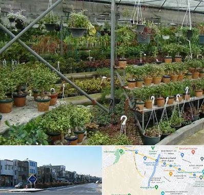 بازار گل و گیاه در شریعتی مشهد