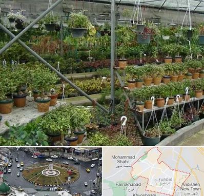 بازار گل و گیاه در فردیس کرج