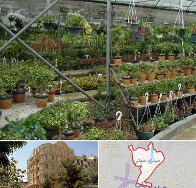 بازار گل و گیاه در مینی سیتی