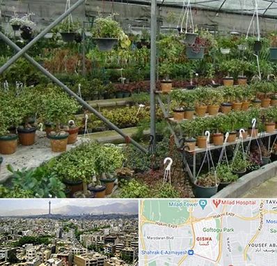 بازار گل و گیاه در گیشا