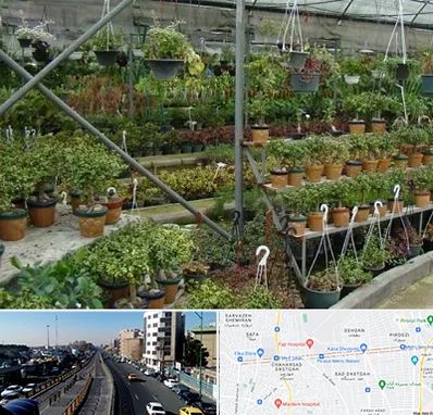 بازار گل و گیاه در پیروزی