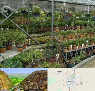 بازار گل و گیاه در کامیاران