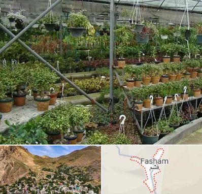 بازار گل و گیاه در فشم