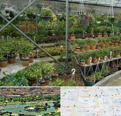 بازار گل و گیاه در منطقه 9 تهران