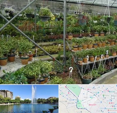 بازار گل و گیاه در کوهسنگی مشهد