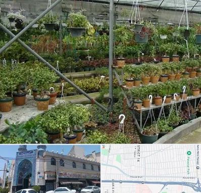 بازار گل و گیاه در بلوار ابوذر