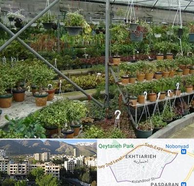 بازار گل و گیاه در اختیاریه