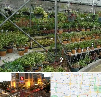 بازار گل و گیاه در جنت آباد تهران