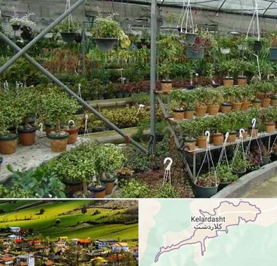 بازار گل و گیاه در کلاردشت