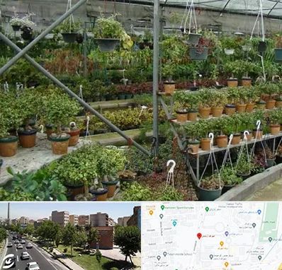 بازار گل و گیاه در شهرک آزمایش