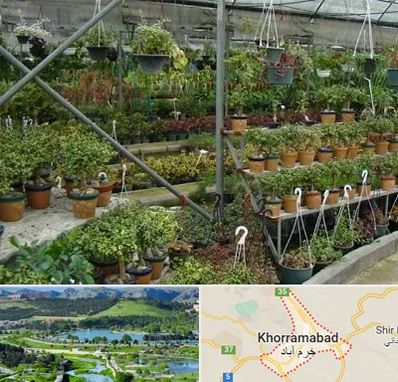 بازار گل و گیاه در خرم آباد