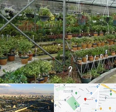 بازار گل و گیاه در هنگام