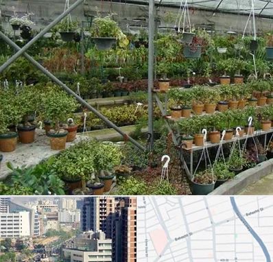 بازار گل و گیاه در خیابان بهشتی