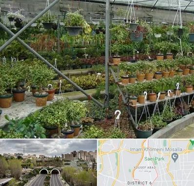 بازار گل و گیاه در یوسف آباد