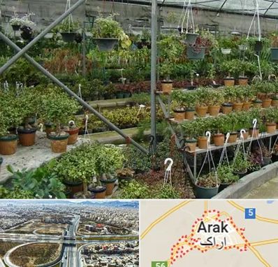 بازار گل و گیاه در اراک