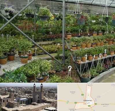 بازار گل و گیاه در سبزوار