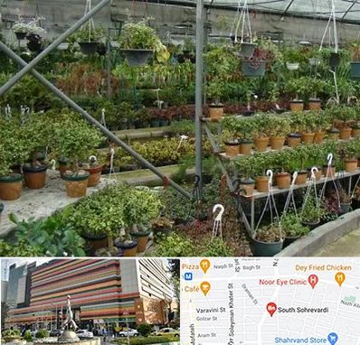 بازار گل و گیاه در سهروردی