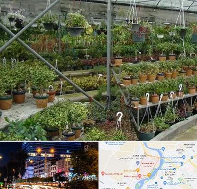 بازار گل و گیاه در کیانپارس اهواز