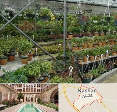 بازار گل و گیاه در کاشان