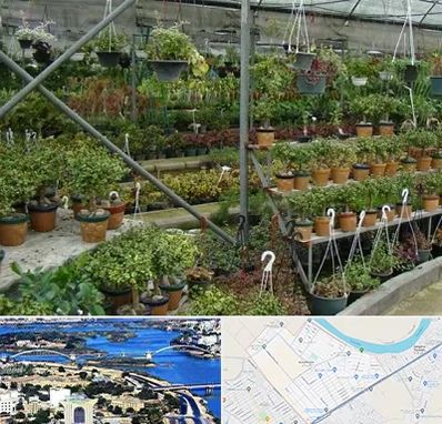 بازار گل و گیاه در کوروش اهواز