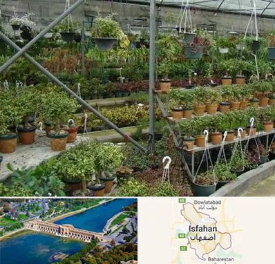 بازار گل و گیاه در اصفهان