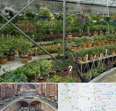 بازار گل و گیاه در منطقه 10 تهران