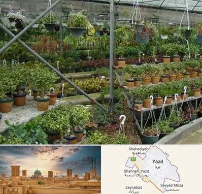 بازار گل و گیاه در یزد