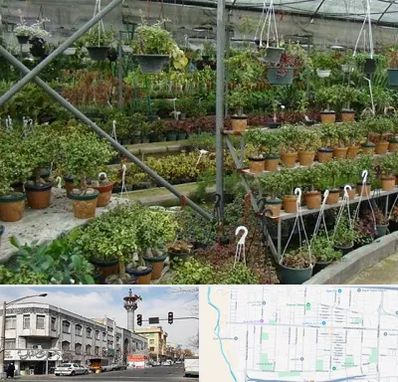 بازار گل و گیاه در 17شهریور