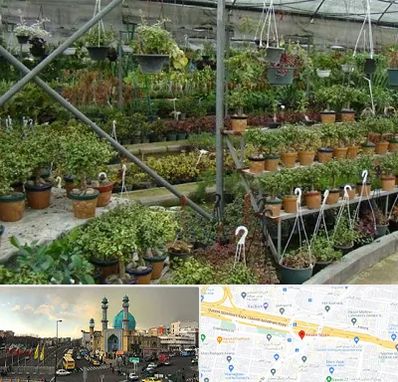 بازار گل و گیاه در رسالت