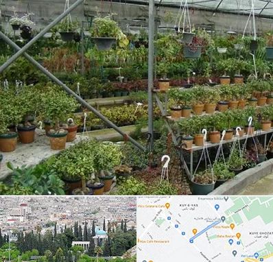 بازار گل و گیاه در محلاتی شیراز