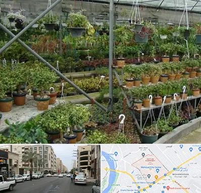 بازار گل و گیاه در زیتون کارمندی اهواز