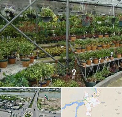 بازار گل و گیاه در میاندوآب