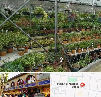 بازار گل و گیاه در 15 خرداد