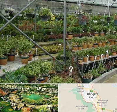 بازار گل و گیاه در بروجرد