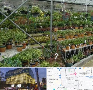 بازار گل و گیاه در جمهوری