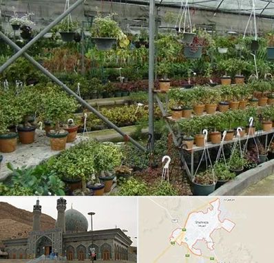 بازار گل و گیاه در شهرضا