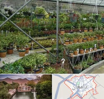 بازار گل و گیاه در دامغان