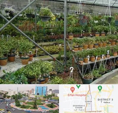 بازار گل و گیاه در ونک