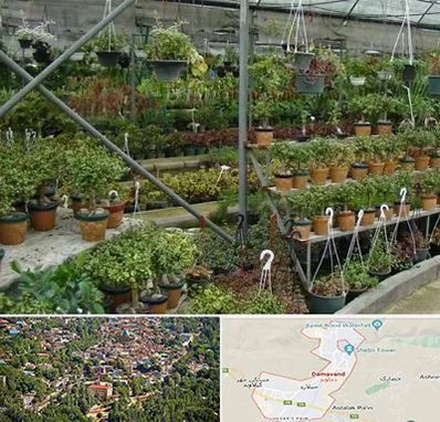 بازار گل و گیاه در دماوند